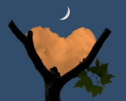 走出分手的释怀签名 走出分手的开心签名 走出分手的释怀签名 走出分手的开心签名