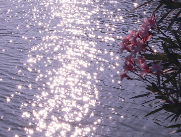 委屈满满的签名短句 很委屈的签名又很伤感 委屈满满的签名短句 很委屈的签名又很伤感