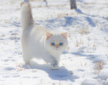 2022十一月你好说说大全 十一月你好微信说说精辟 2022十一月你好说说大全 十一月你好微信说说精辟