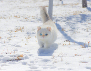 2022十一月你好说说大全 十一月你好微信说说精辟 2022十一月你好说说大全 十一月你好微信说说精辟