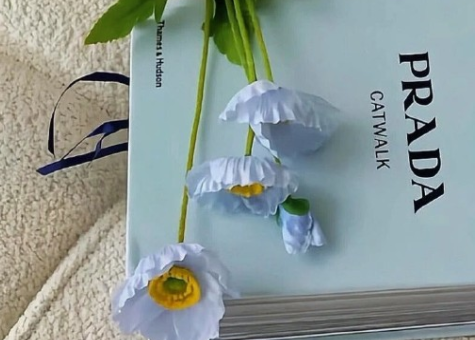 十一月你好早安励志语录 2023十一月你好正能量满满的句子