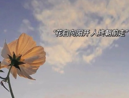 十一月你好早安励志语录 2022十一月你好正能量满满的句子 十一月你好早安励志语录 2022十一月你好正能量满满的句子