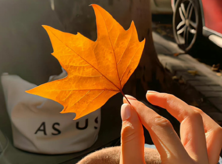 十月再见十一月你好心情短句 2022十月你好心情说说dc 十月再见十一月你好心情短句 2022十月你好心情说说dc