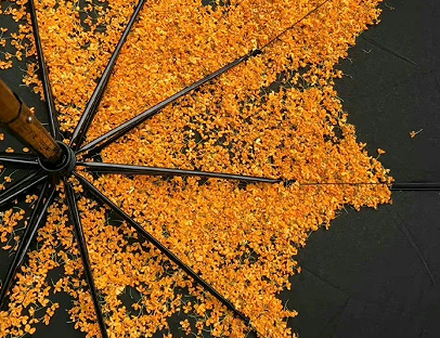 十月再见十一月你好心情短句 2022十月你好心情说说dc 十月再见十一月你好心情短句 2022十月你好心情说说dc