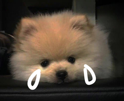 心凉到极致的昵称 心凉到极点的网名 心凉到极致的昵称 心凉到极点的网名