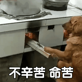 斗图必备的欢乐动态gif表情合集 不辛苦命苦