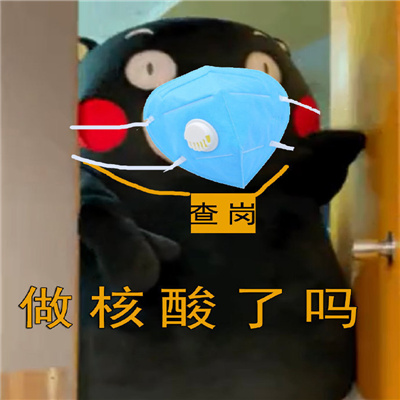 最新版实用潮流的熊本熊表情 查岗核酸做了吗