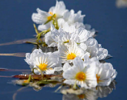 听起来很可怜的网名 特别心酸的昵称 听起来很可怜的网名 特别心酸的昵称