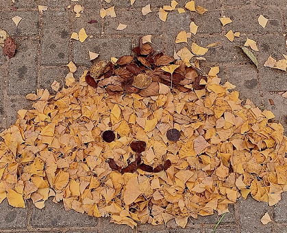 退出群聊告别文案简短 幽默退群告别语最新