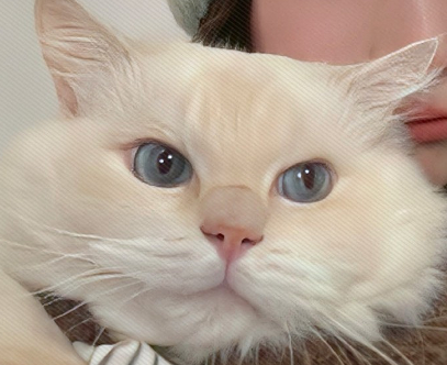 光棍节虐狗的幸福说说 2023光棍节秀恩爱的短句