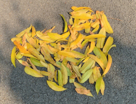 身体大不如从前的句子 身体越来越差的说说 身体大不如从前的句子 身体越来越差的说说