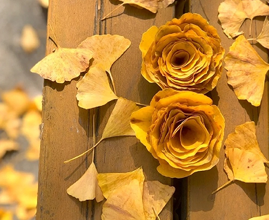 别否定自己的温柔语录 很温柔好听的语录致自己