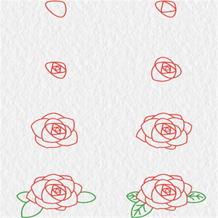 玫瑰花简笔画教程合集简单漂亮  简单又好看的玫瑰花教程