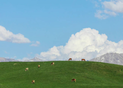 一个人寒了心的微信名 付出真心后失望的网名 一个人寒了心的微信名 付出真心后失望的网名