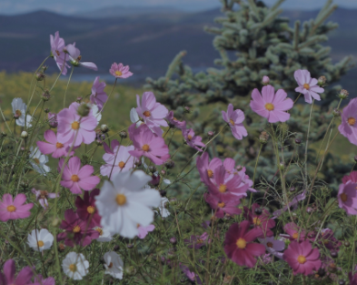 接纳不完美的自己的短句 学会接纳自己的说说 接纳不完美的自己的短句 学会接纳自己的说说