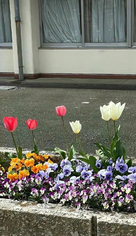 网络精选的优质壁纸大全 一眼就中意的壁纸合集