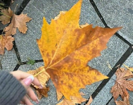 心情好一切都美好的句子 有关心情美好的句子 心情好一切都美好的句子 有关心情美好的句子