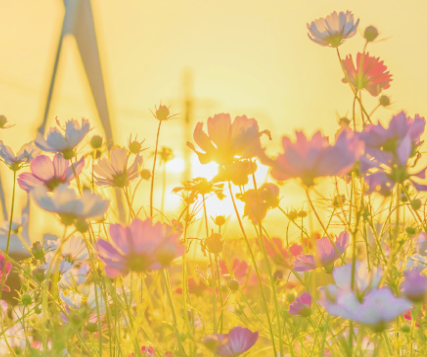 期待下一次重逢的唯美句子 期待再见的句子唯美短句 期待下一次重逢的唯美句子 期待再见的句子唯美短句