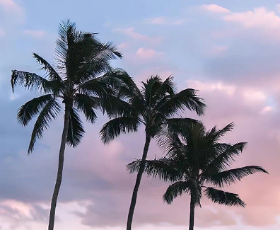 宠物去世了伤感说说 怀念宠物逝世的伤感句子 宠物去世了伤感说说 怀念宠物逝世的伤感句子