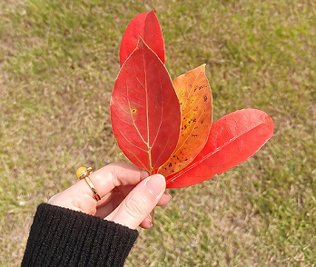 简单就快乐保持年轻的句子 保持年轻心态的唯美句子 简单就快乐保持年轻的句子 保持年轻心态的唯美句子