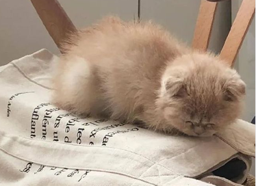 哲理句子读了让你感觉很牛 特别有道理的短句