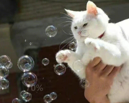 让你幡然醒悟改变自己的文案 自我醒悟的经典文案