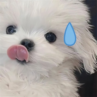 总会用到的的情头恩爱又俏皮 很开朗的恩爱情头2023