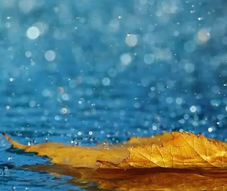 下雨天很惬意的心情说说 享受雨天惬意悠然的句子 下雨天很惬意的心情说说 享受雨天惬意悠然的句子