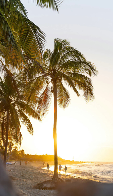 一看就赞的高清全面屏壁纸 很赞的锁屏壁纸又又来了