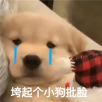 一定要保存的搞怪型表情 满满欢乐的好笑表情