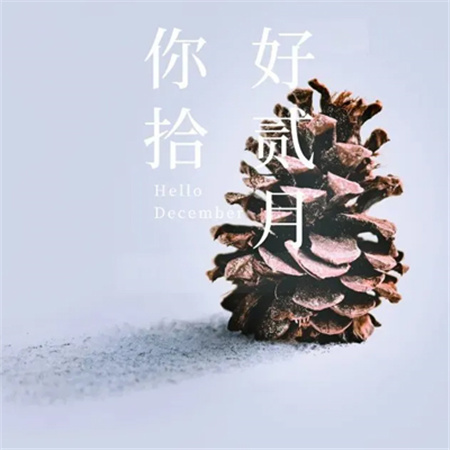 2023十一月再见十二月你好配图 十二月你好精致朋友圈素材