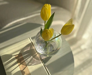 生气时哄对象的服软小情话 哄对象的肉麻语录 生气时哄对象的服软小情话 哄对象的肉麻语录