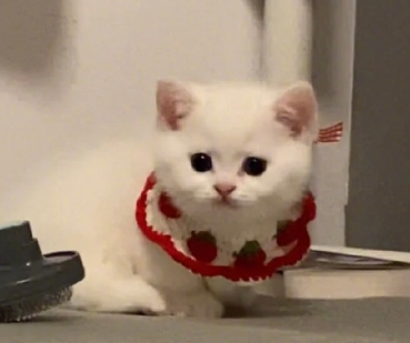 很温柔又很火爆的签名精致感 很简洁又很温柔的签名合集 很温柔又很火爆的签名精致感 很简洁又很温柔的签名合集