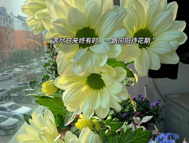 一看救命要被笑死的文案 最新版超赞搞笑语录 一看救命要被笑死的文案 最新版超赞搞笑语录