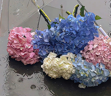 2023很好记的微信昵称简单 简单又好听的网名 2023很好记的微信昵称简单 简单又好听的网名