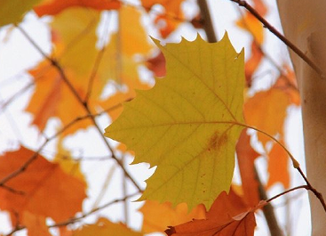 2023心情有点糟糕的伤感说说 心情糟糕到极点的语录 2023心情有点糟糕的伤感说说 心情糟糕到极点的语录