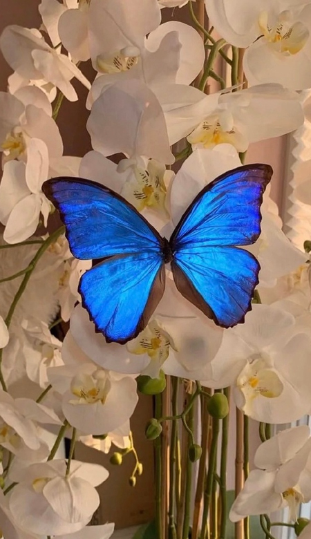 高级感的壁纸全面屏超好看 爱是一把会倾斜的伞