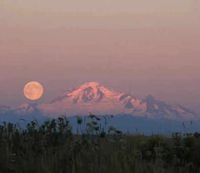 英文网名2023版高级感 不想换的网名简单英文