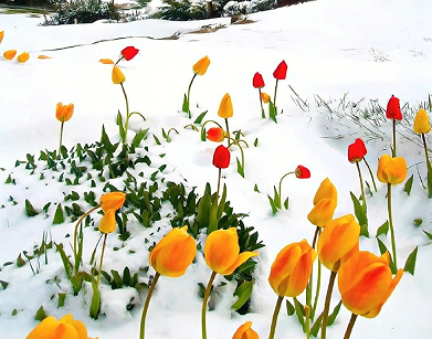 一秒倾心的唯美签名 短小精致的唯美签名 一秒倾心的唯美签名 短小精致的唯美签名