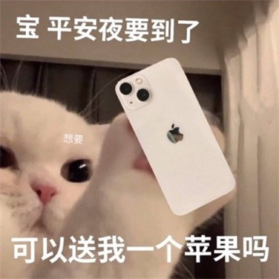 2022平安夜搞怪又欢乐的表情 平安夜你想吃我的挨炮吗