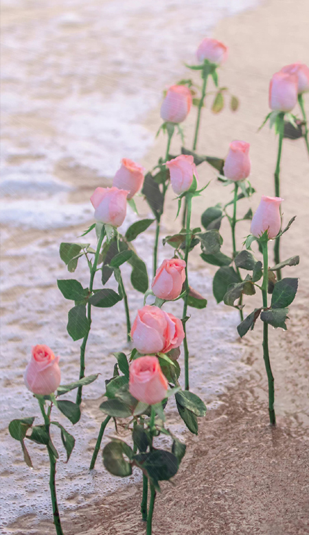 全新的很高级感的锁屏壁纸 最火的锁屏壁纸2023