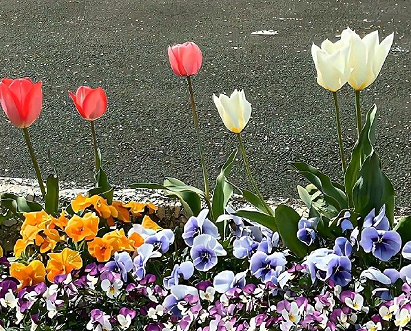 得偿所愿唯美签名短句 一切如愿以偿的签名 得偿所愿唯美签名短句 一切如愿以偿的签名