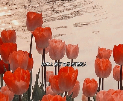 生活很心塞的句子 生活越来越多无奈文案 生活很心塞的句子 生活越来越多无奈文案