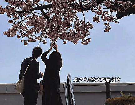 生活很心塞的句子 生活越来越多无奈文案 生活很心塞的句子 生活越来越多无奈文案