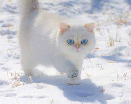 一见倾心的高级个性签名 撩人的质感个性签名 一见倾心的高级个性签名 撩人的质感个性签名