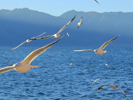 自己阳了发朋友圈语录 调侃自己阳了说说 自己阳了发朋友圈语录 调侃自己阳了说说