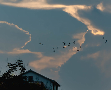 我的女孩一不小心就长大了说说 感慨女儿长大唯美句子