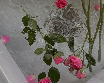 2023元旦第一天早安说说 很好听的早安语录 2023元旦第一天早安说说 很好听的早安语录