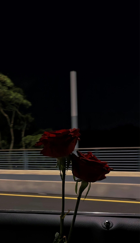 超美的壁纸一眼就爱上 好看的锁屏壁纸记得要换上啊