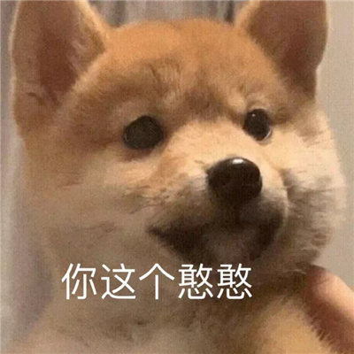 2023奇奇怪怪的好笑表情 很好笑又有用的表情合集